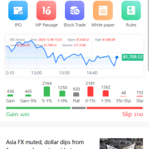 海外股票系统/多语言股票交易策略/IPO/大宗/印度股票