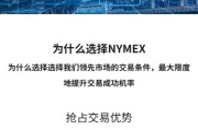 海外微交易系统/虚拟币外汇交易/PC微盘/多语言微盘