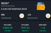 独家完整版BIZZAN币严源码/多语言交易所/币币交易永续合约期权/OTC交易