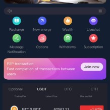 16国交易所。功能：功能：新币 秒合约 合约 期权 理财 P2P，平台币，k线控制。基础钱包，充值凭证