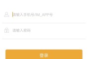 即时通讯原生开发，后端java，可二开，红包带控