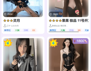 新版本同城约炮空降楼凤信息网源码